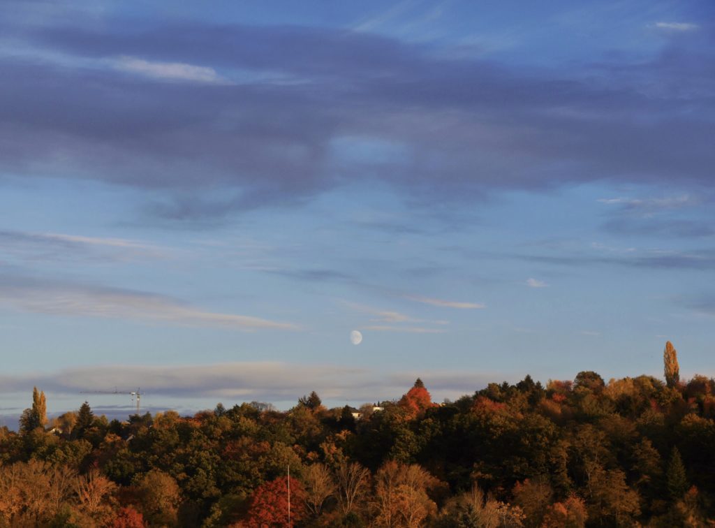 Mond-am-Himmel-über-Herbstwald