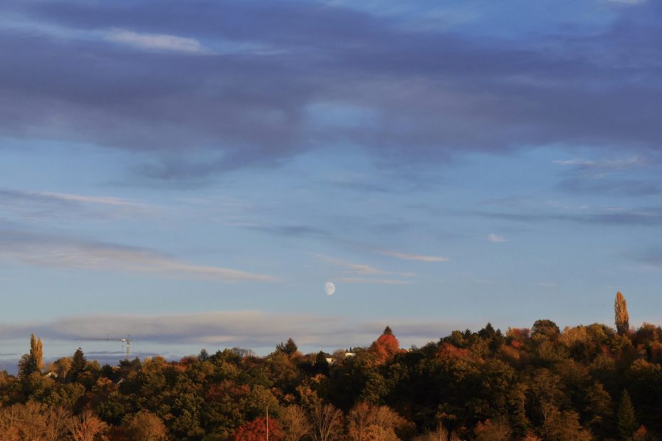 Mond-am-Himmel-über-Herbstwald